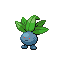 走路草