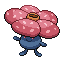 霸王花
