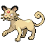 猫老大