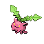毽子草