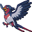 大王燕