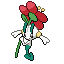 花叶蒂