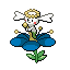 花蓓蓓（蓝花）
