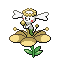 花蓓蓓（黄花）