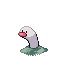 海地鼠
